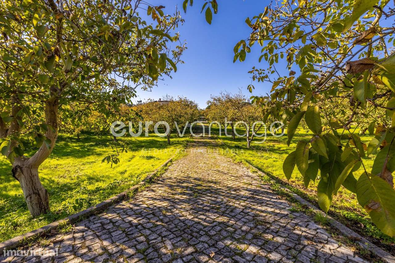 Moradia Exclusiva em Marrazes e Barosa – Conforto, Espaço e Privaci...-2