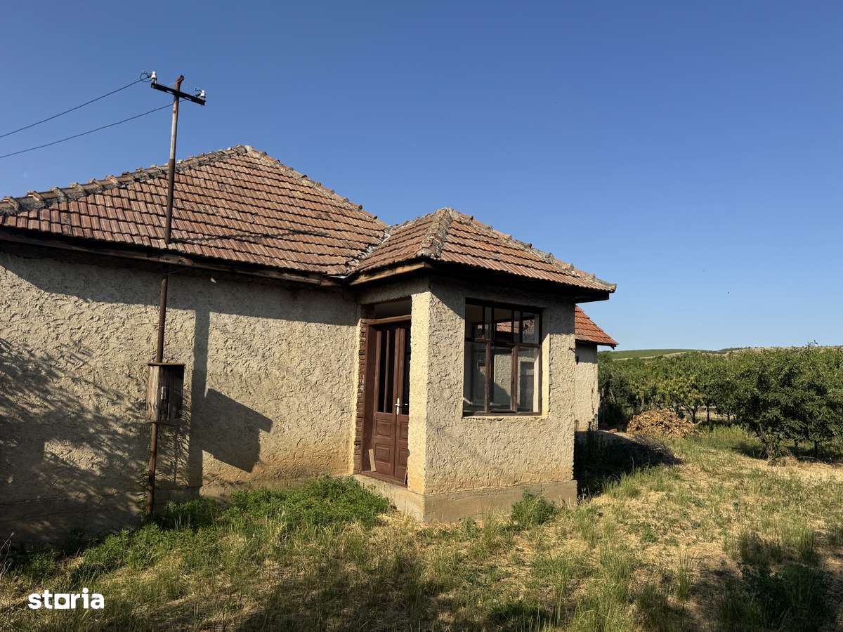 Casa Siria cu 4 camere - Imagine principală: 5/7