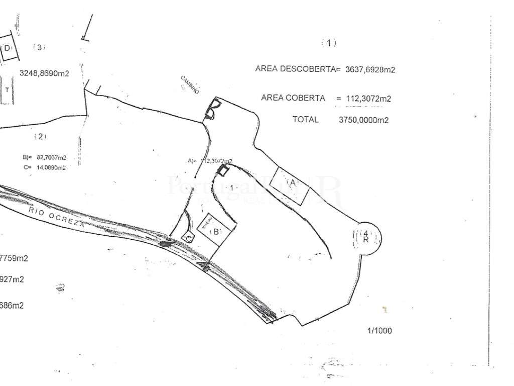 Quinta Rural 8.000 m2 - 2 Casas Habitáveis - confina com Ribeira-30