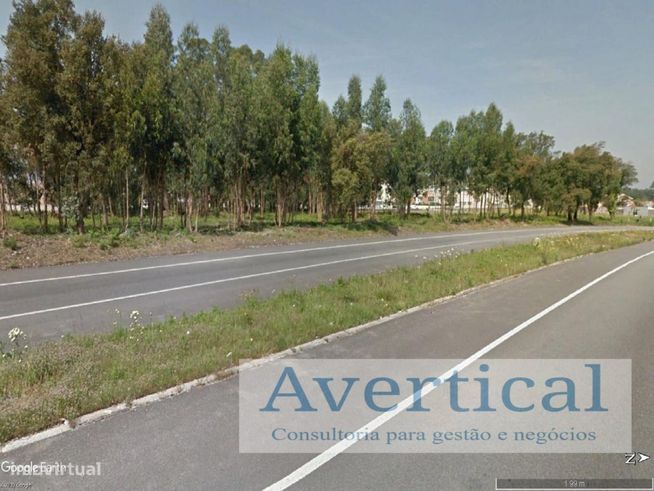 Terreno com 3 entradas - 70.000m2-2