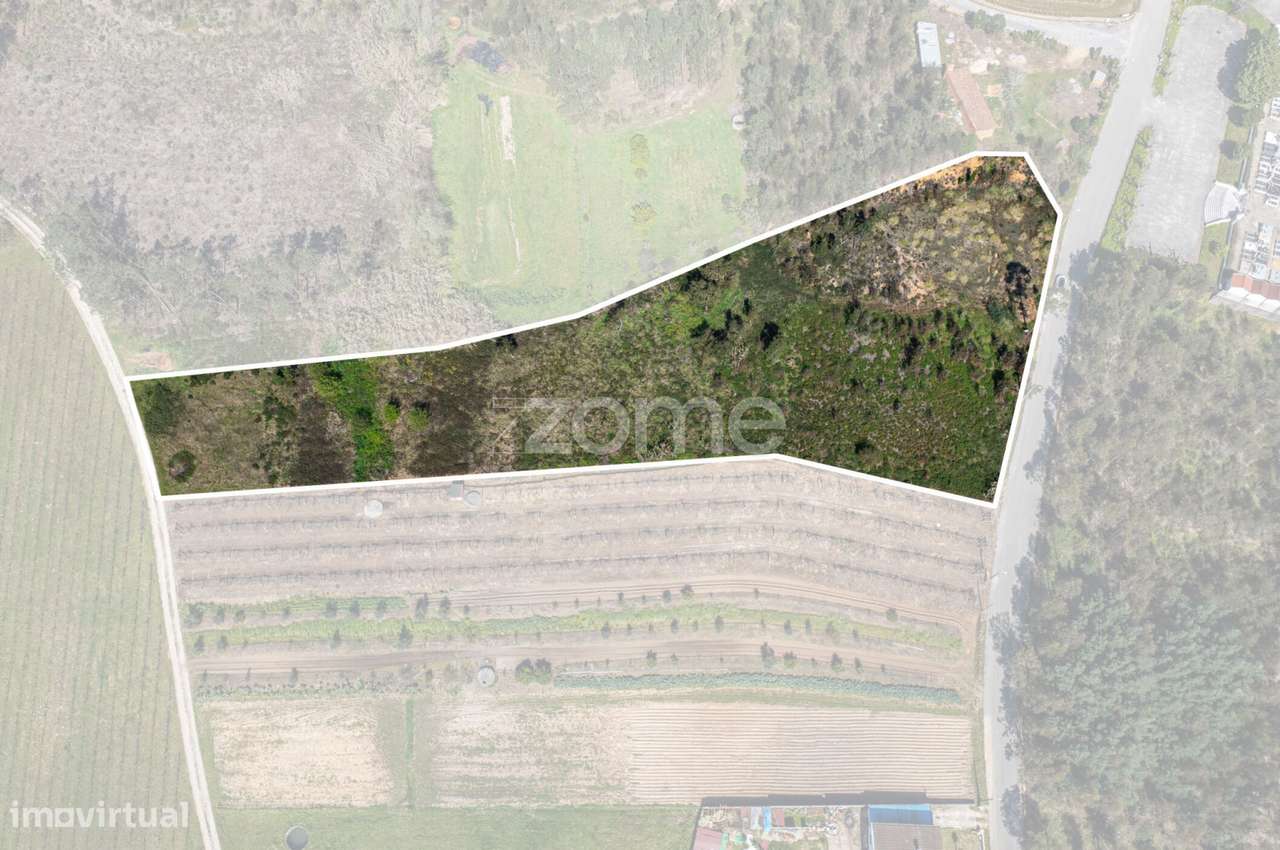 Terreno Urbanizável c/ 67m de frente em Anadia - Grande imagem: 5/15