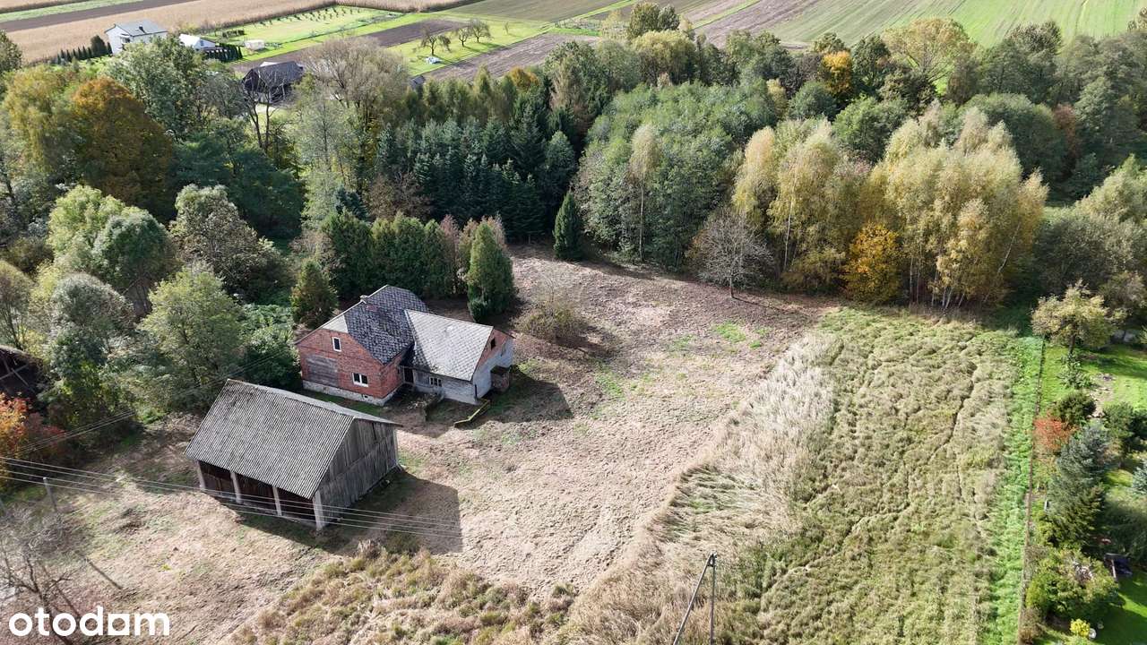 Działka 69 arów z zabudowaniami i lasem – Czułówek-10
