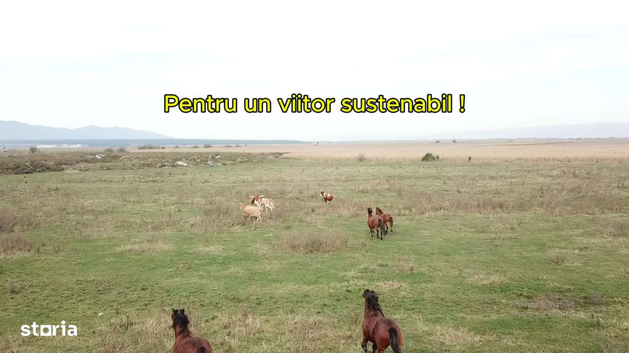 Parcele 1100 mp Pentru Microferme, Grădini Bio & Creșterea Animalelor-9