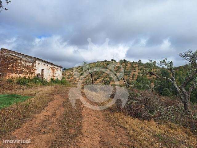 Quinta junto ao Alqueva-6