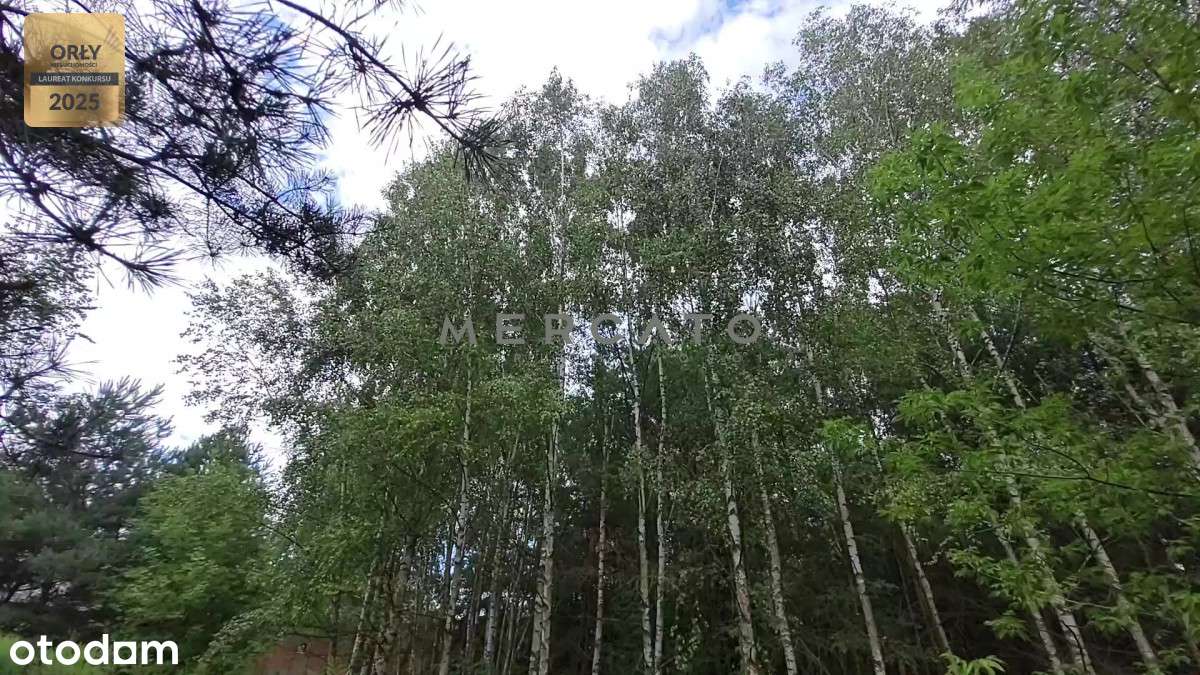 działka 1151 m² - Burlaki - Pełny obrazek: 4/10