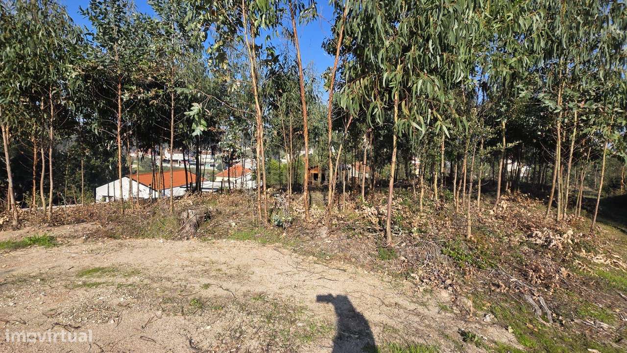 Terreno em Soure, Coimbra - Oportunidade Única de Construção - Grande imagem: 5/16