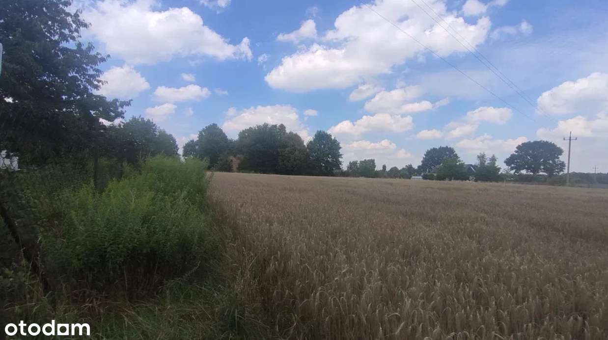 Wyjątkowa działka wśród natury-Ługi k.Strykowa |4607 m²| do negocjacji - Pełny obrazek: 4/7