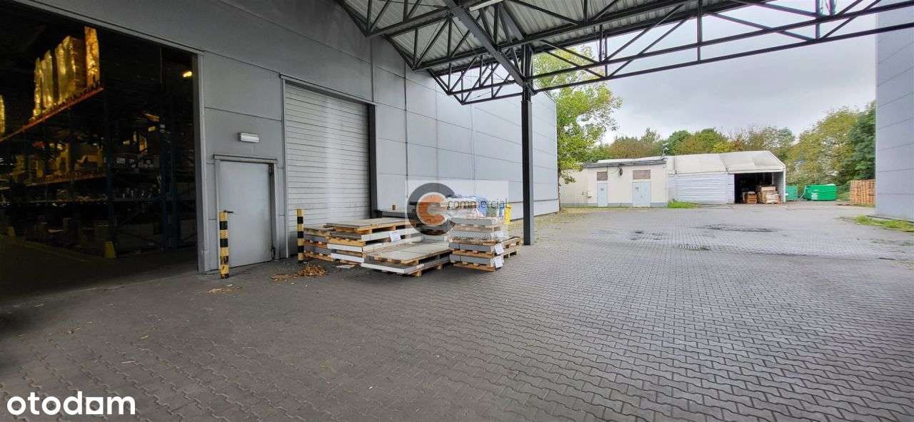 Hala magazynowo-produkcyjna z placem składowym - Pełny obrazek: 5/6