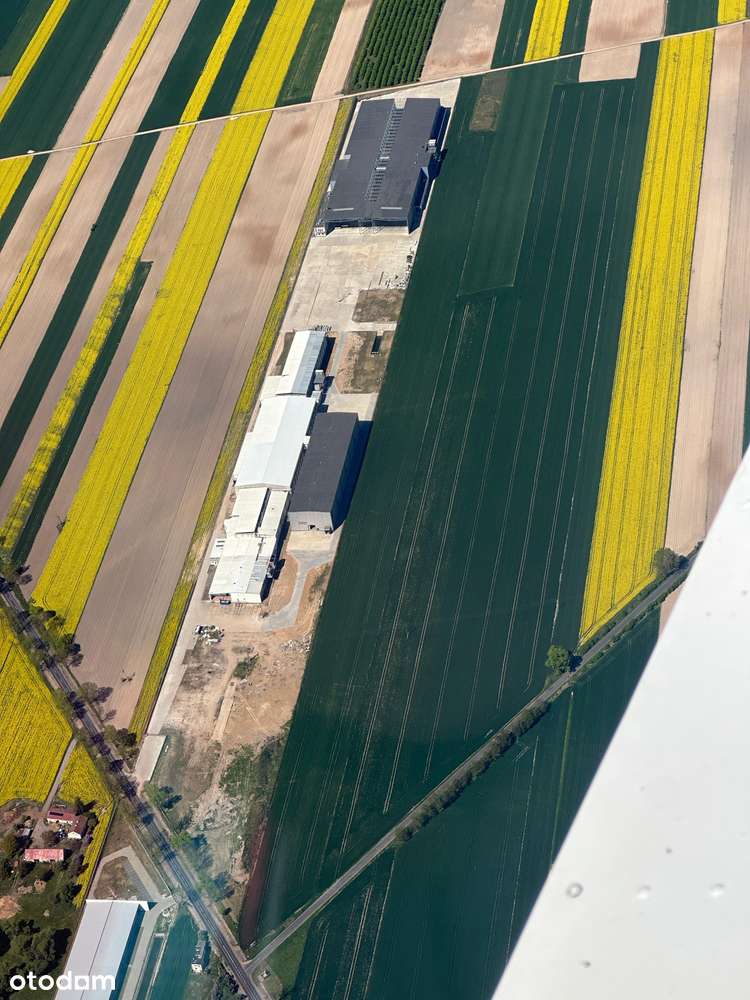 1,19 za nadstawkę!!! NOWA MROŹNIA! Najniższe ceny! - Pełny obrazek: 5/9