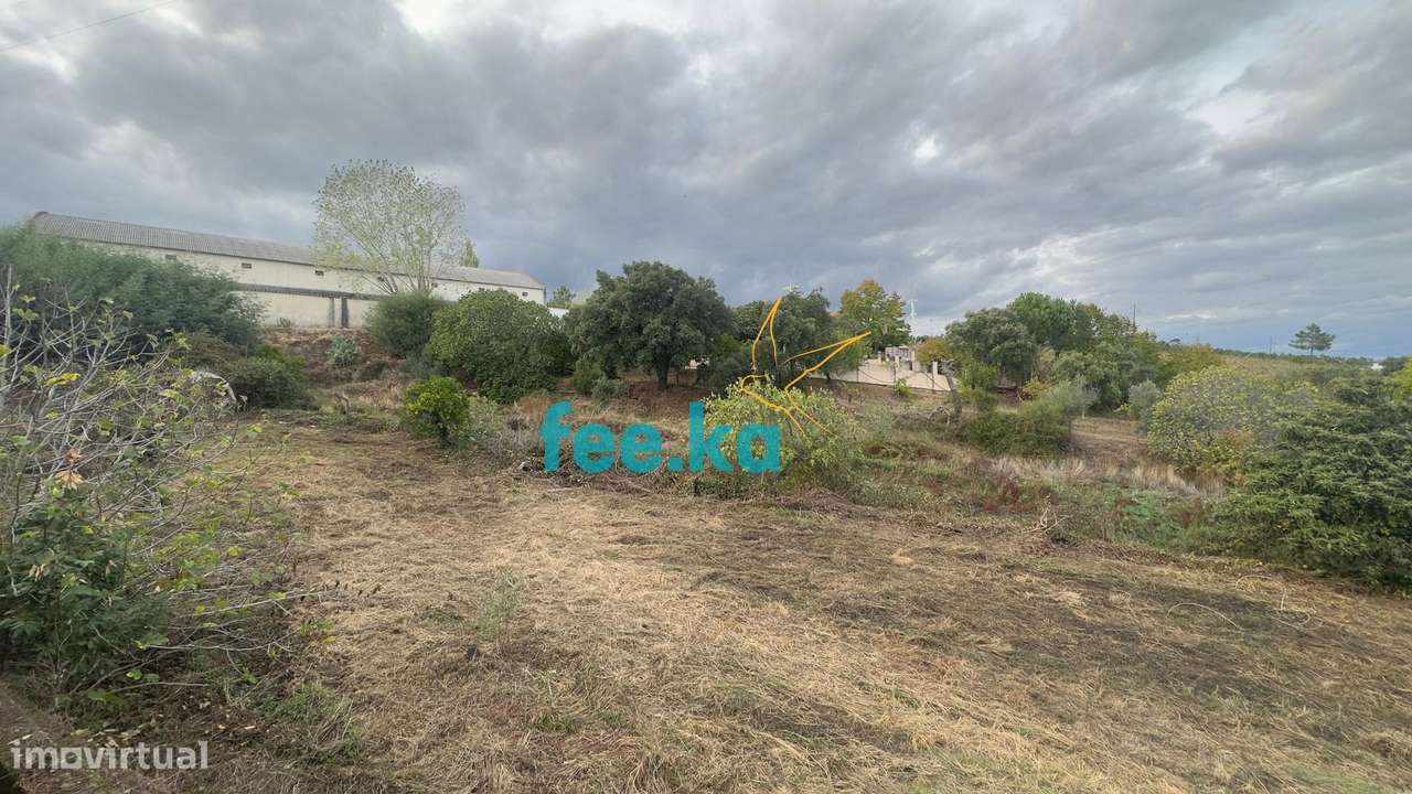 Quintinha-36