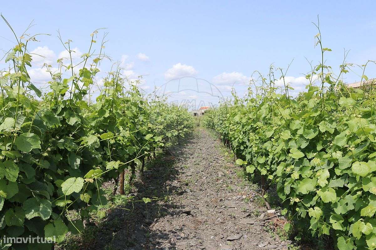 Terreno  para venda - Grande imagem: 5/14