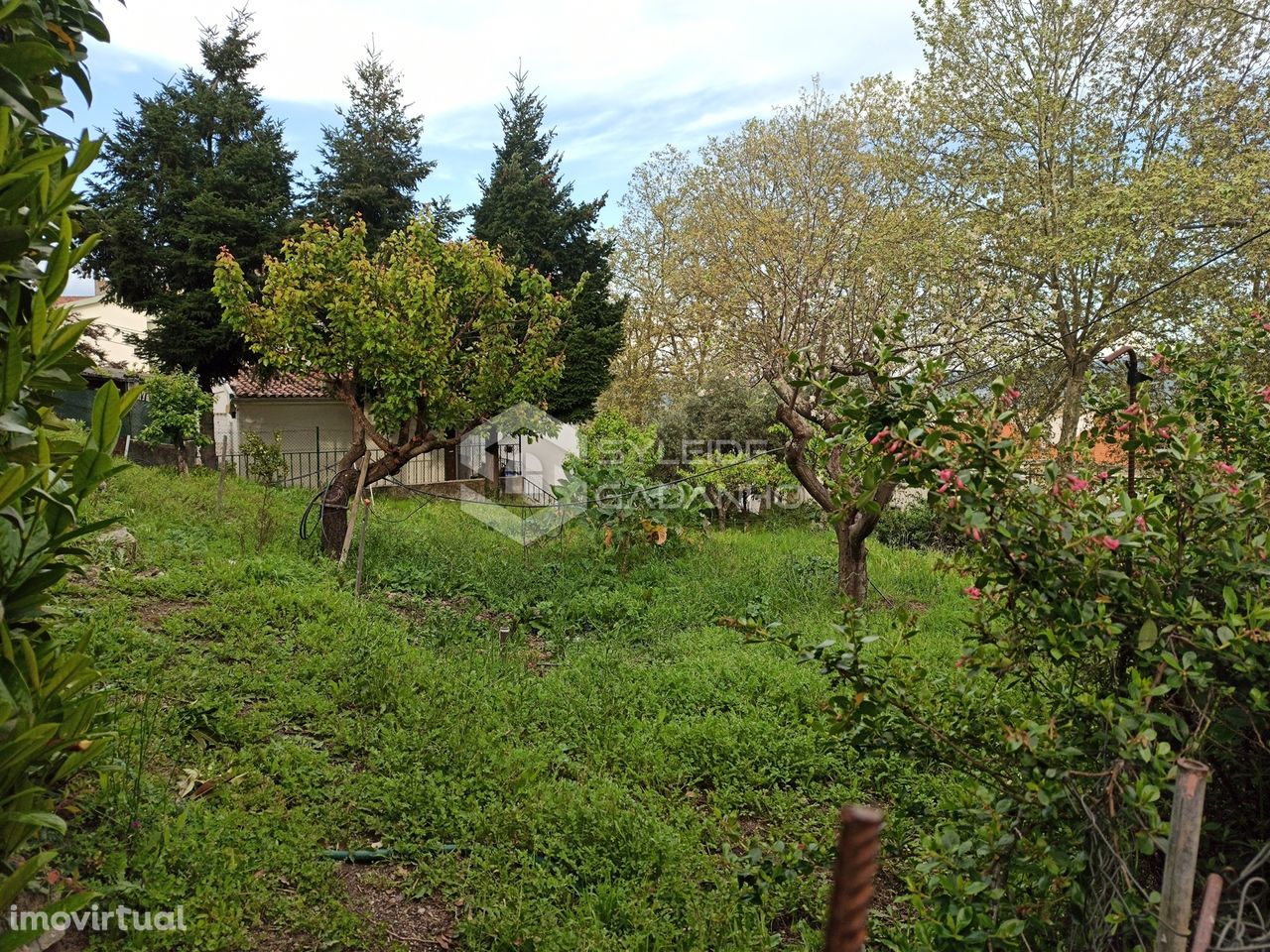 Terreno para construção no Tortosendo