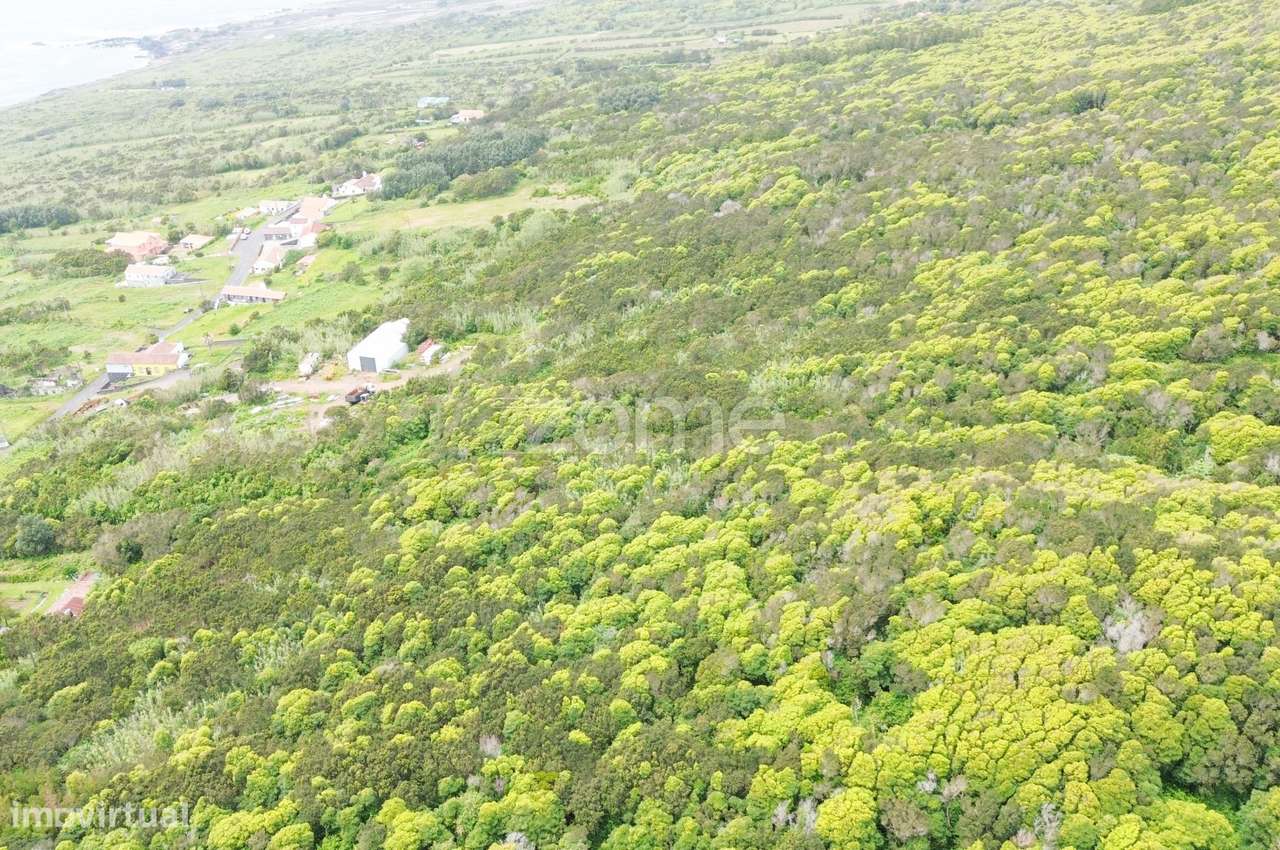 Terreno rústico com 2.178m² da freguesia do Capelo - Grande imagem: 3/9