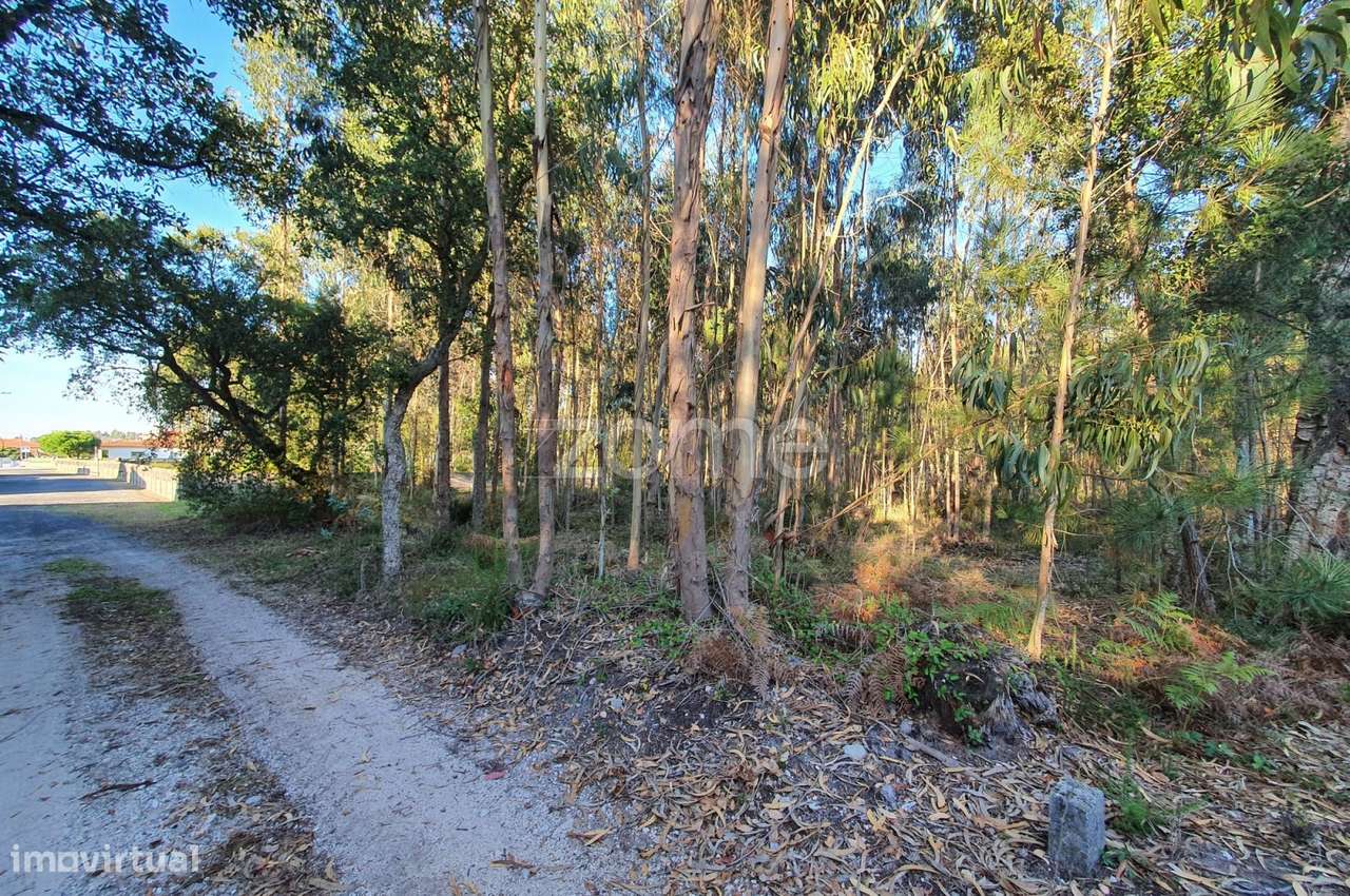 Terreno rústico - Grande imagem: 5/16