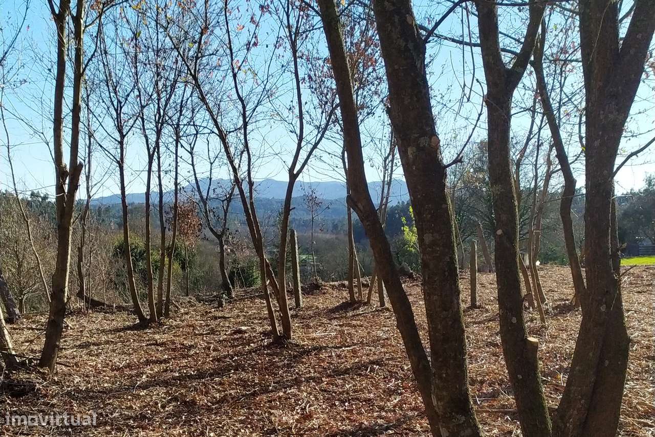 Moradia T0 Venda em Carvalhais e Candal,São Pedro do Sul-6