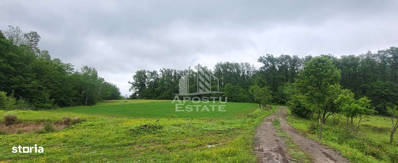 Teren mixt de 8.600 mp, ideal pentru investitie, Cuied - Imagine principală: 2/4