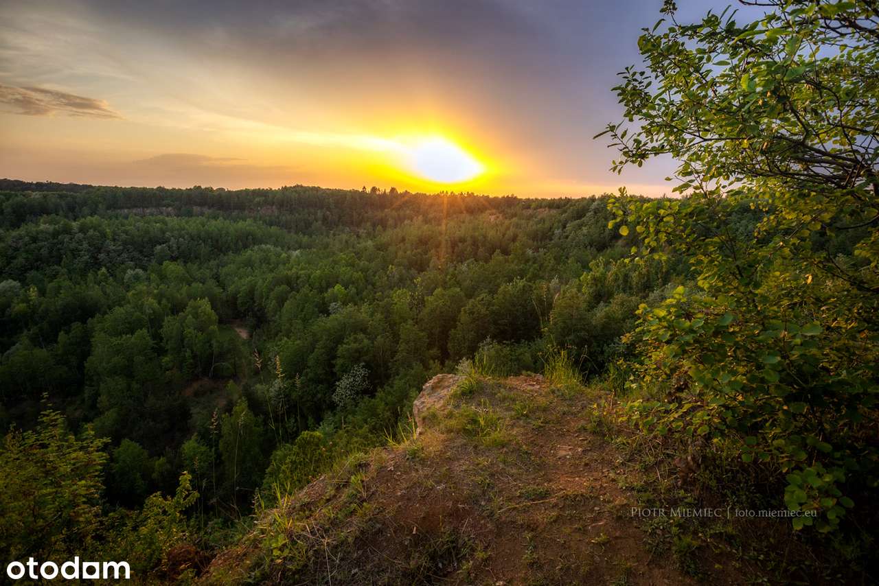 Widokowa działka 2295m2 Segiet (Sucha Góra) Bytom/Tarnowskie Góry - Pełny obrazek: 5/5