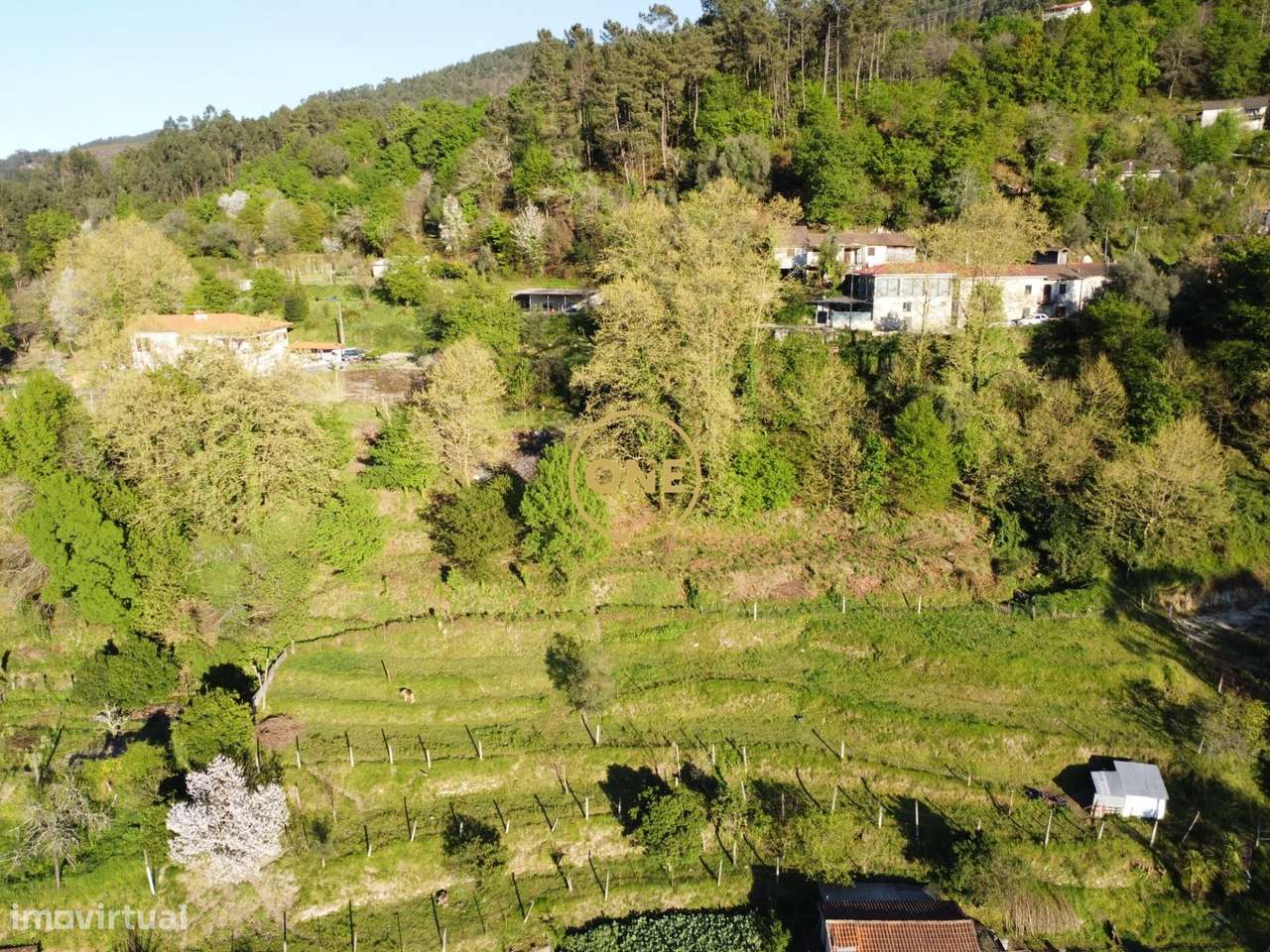 10.000m2- 100% Zona de Construção– Centro de Terras de Bouro - Grande imagem: 4/44