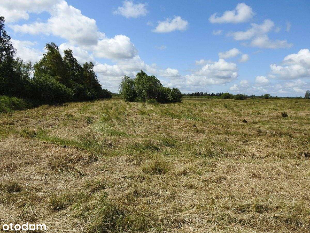 Blisko Plaży W Dębkach-5