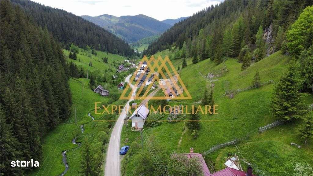 Teren cabana intr-un satuc din Bucovina cu toate utilitati-6