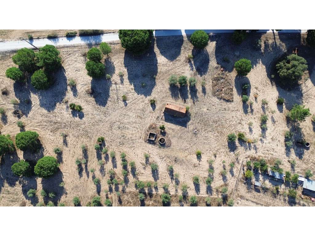 Terreno com Projeto Turístico Aprovado em Alcácer do Sal-6