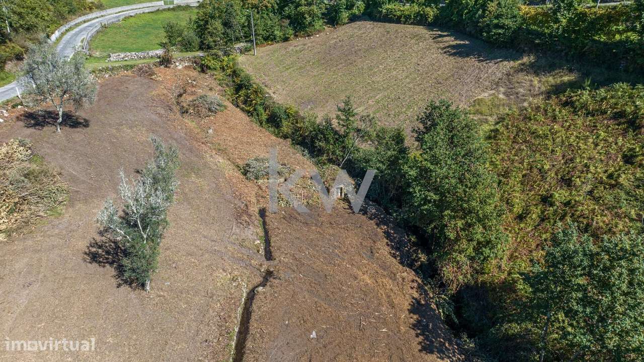 Moinho e dois artigos rústicos com ~10480M2 em Asnela - Cabeceiras de - Grande imagem: 5/16