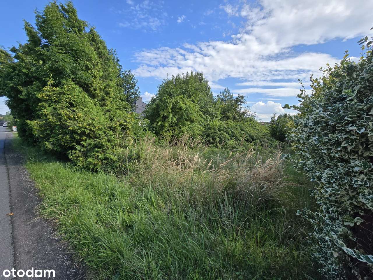 Działka, 1 025 m², Orzesze - Pełny obrazek: 2/4