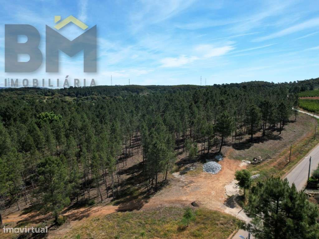 O Seu Próximo Grande Projeto Começa Aqui: 7.6 Hectares na Fatela co...-5