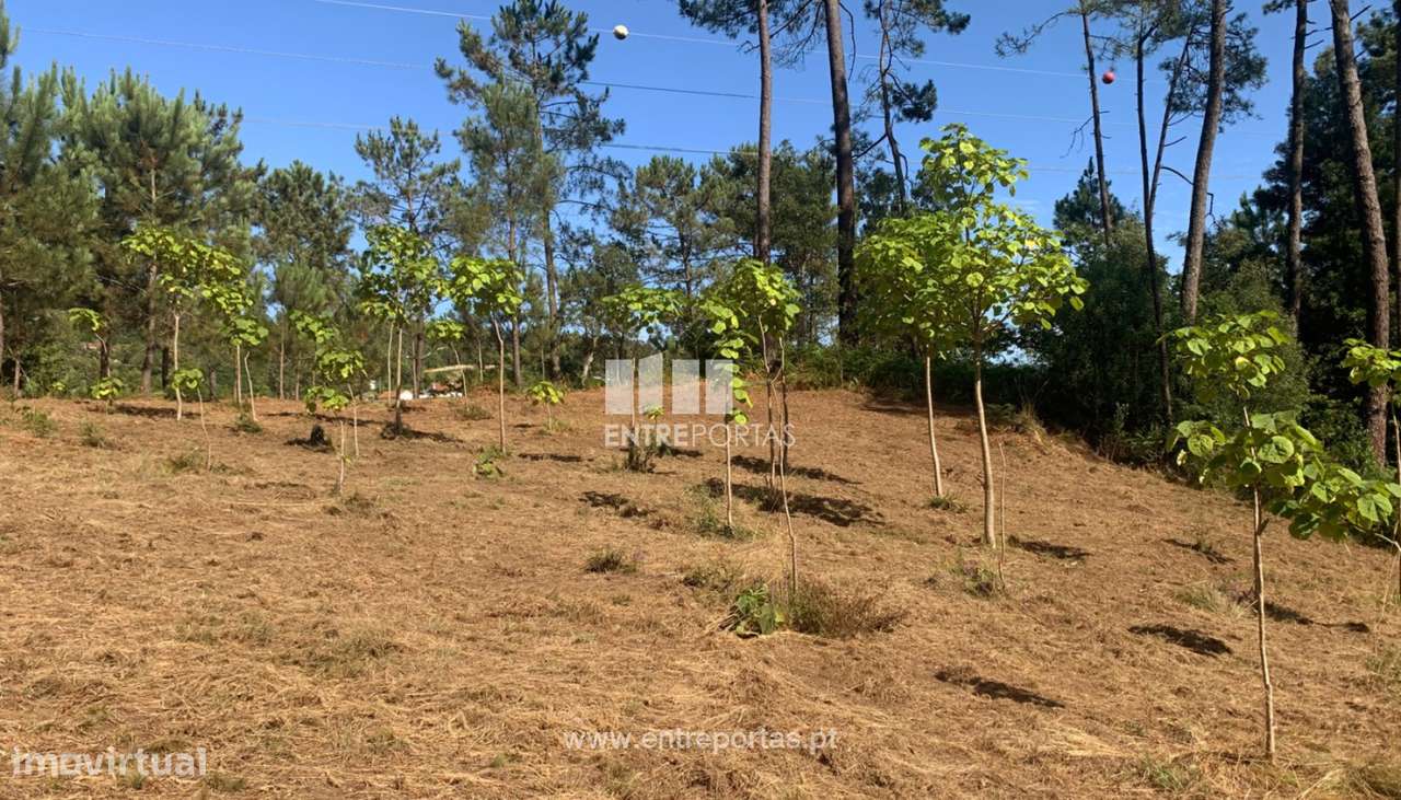 Terreno para venda, Orbacém, Caminha - Grande imagem: 5/9