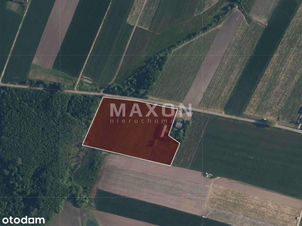 ❗❕ Załuski, Kamienica działka rolna 1,65 ha ❕❗ - Pełny obrazek: 5/11