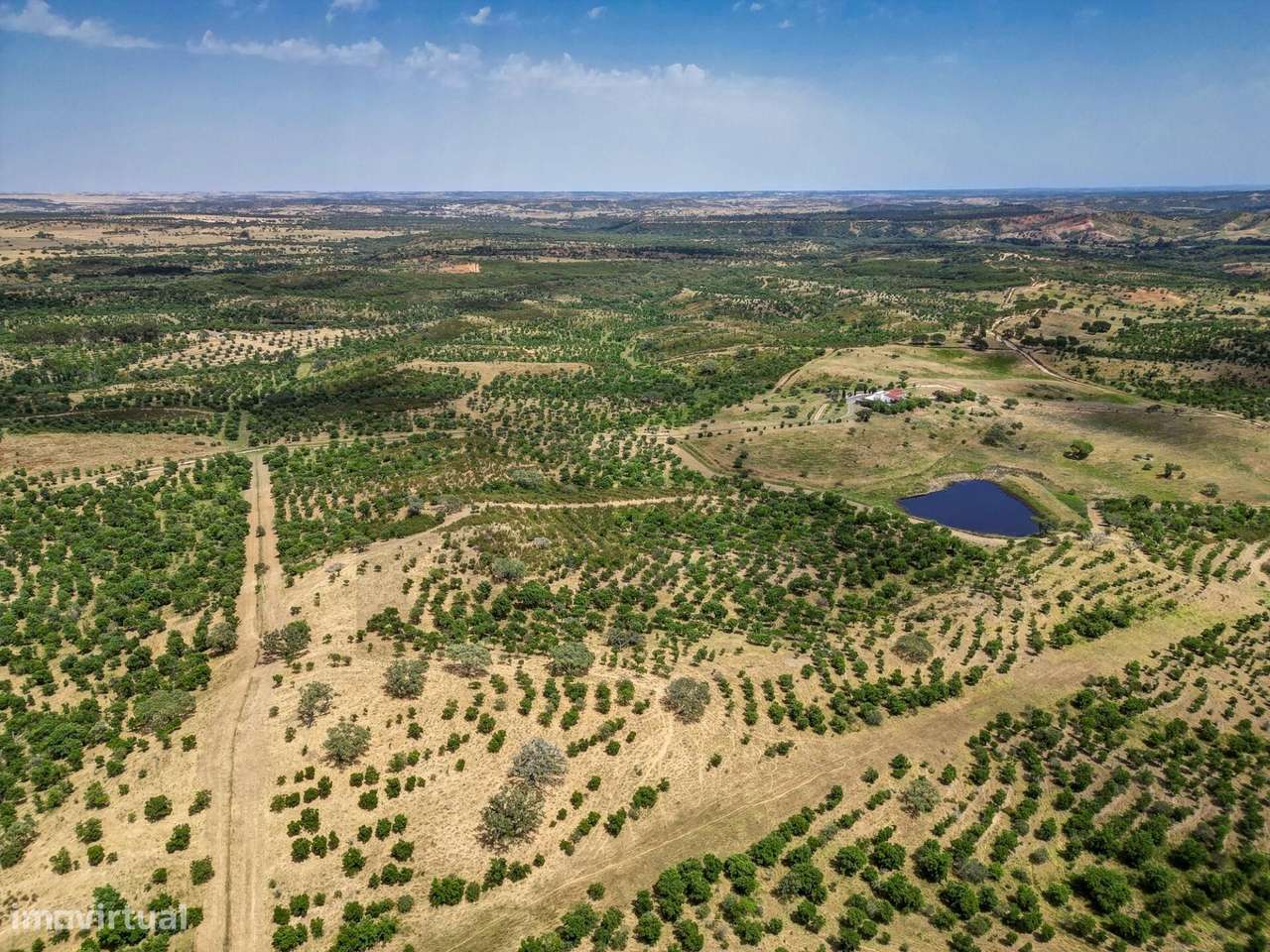 Herdade de Sobro com 93,50 ha, com Monte,  situada em Santa Luzia, Our - Grande imagem: 4/60