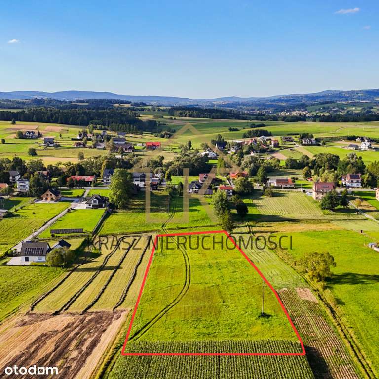 Działka widokowa 78 ar (27 ar budowlanych) -Skawa-1