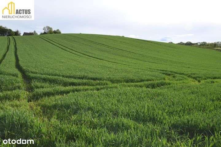 Nieruchomość 1,32 ha Stręgoborzyce-6