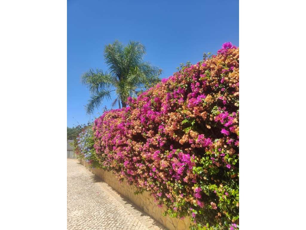 Moradia em Albufeira - Algarve-4