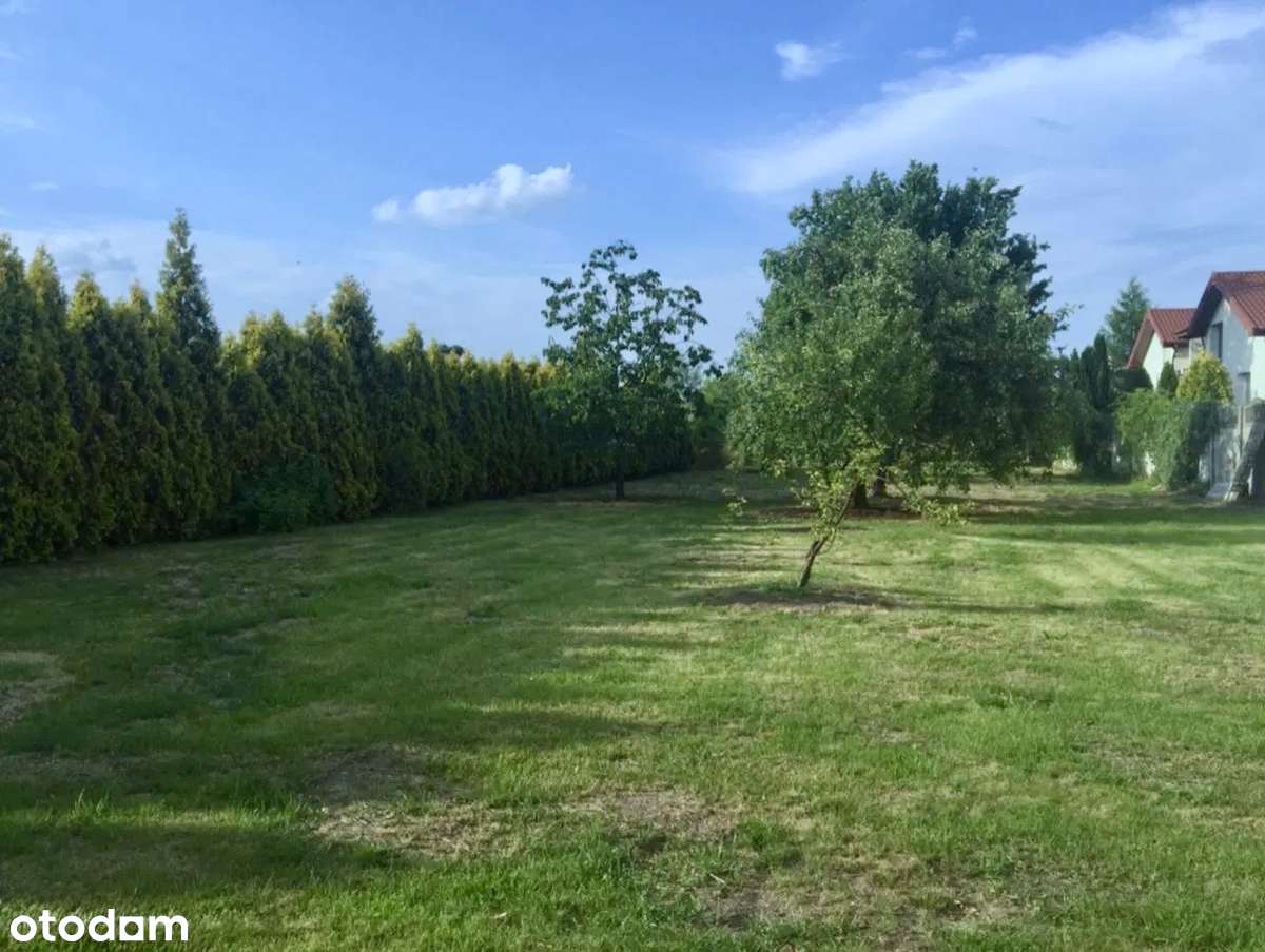 Piękny dom w Klaudynie do wynajęcia - okazja! - Pełny obrazek: 4/13