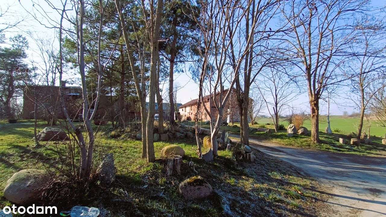 Nieruchomość Rolna zabudowana 4100 m² - Pełny obrazek: 4/7