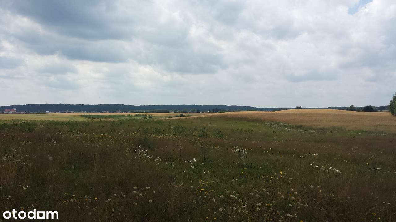 Działka rolna, podzielona na 13, możliwość wystąpienia WZ, Wiele - Pełny obrazek: 4/11