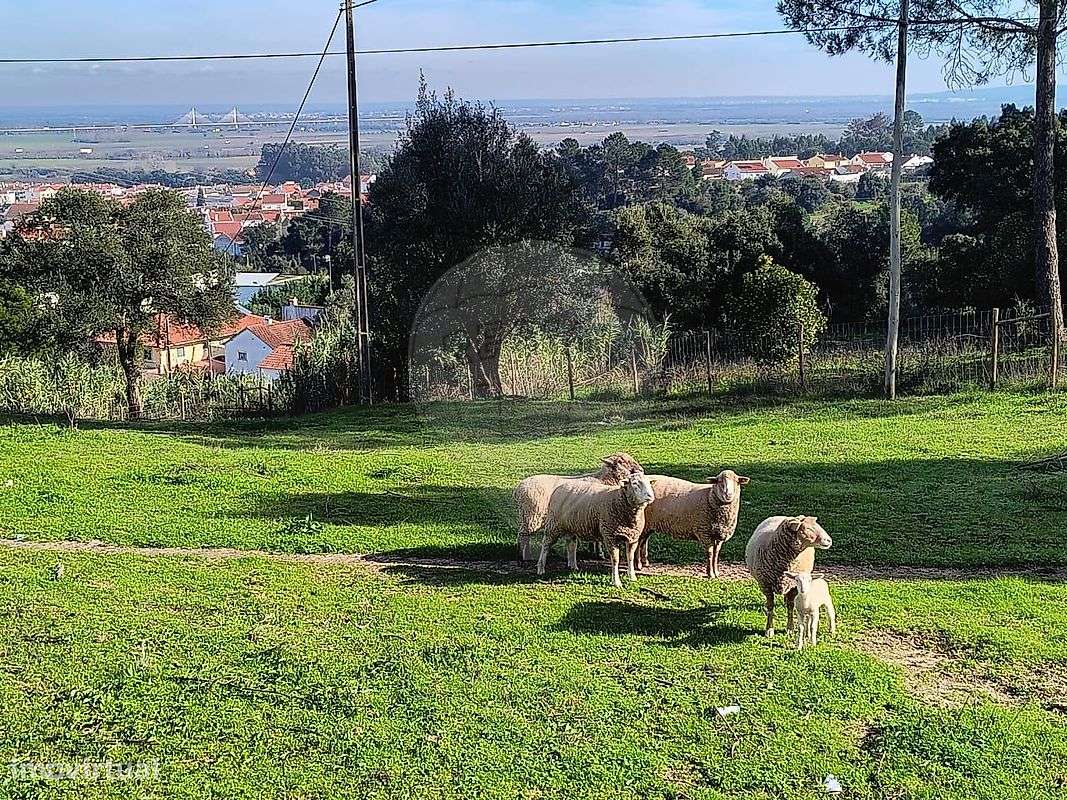 Terreno  para venda - Grande imagem: 3/3