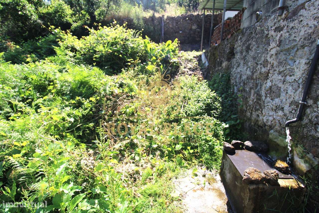 Terreno com 4 700m2 em Avintes - Grande imagem: 2/13