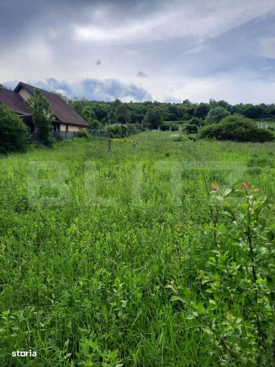 Teren intravilan in Loc. Sutu, in zona Lacurilor de la Ciurila. - Imagine principală: 2/3