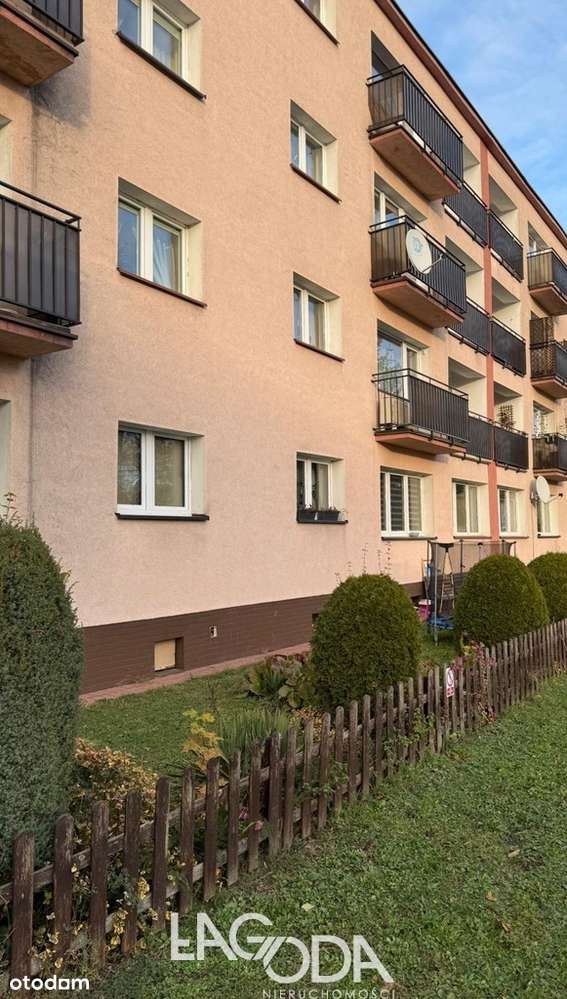 Idealne pod inwestycję! 52 m², parter 2/3 pokoje - Pełny obrazek: 4/10