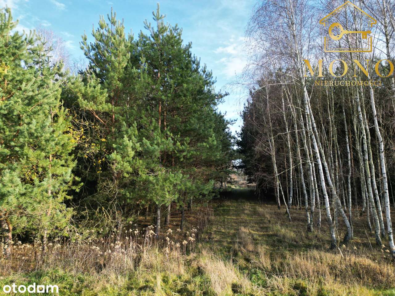 Działka 1,61 ha ok. 10 km od Buska-Zdrój-3