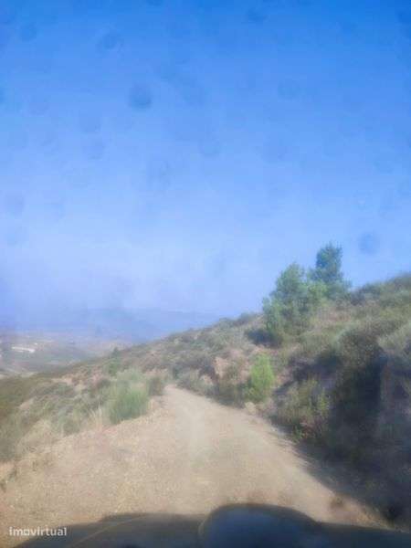 Terreno rústico em Moncorvo - Grande imagem: 5/6