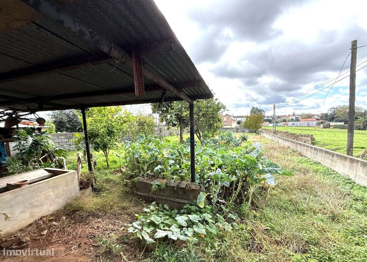 Moradia T3 térrea em São João de Ovar-10