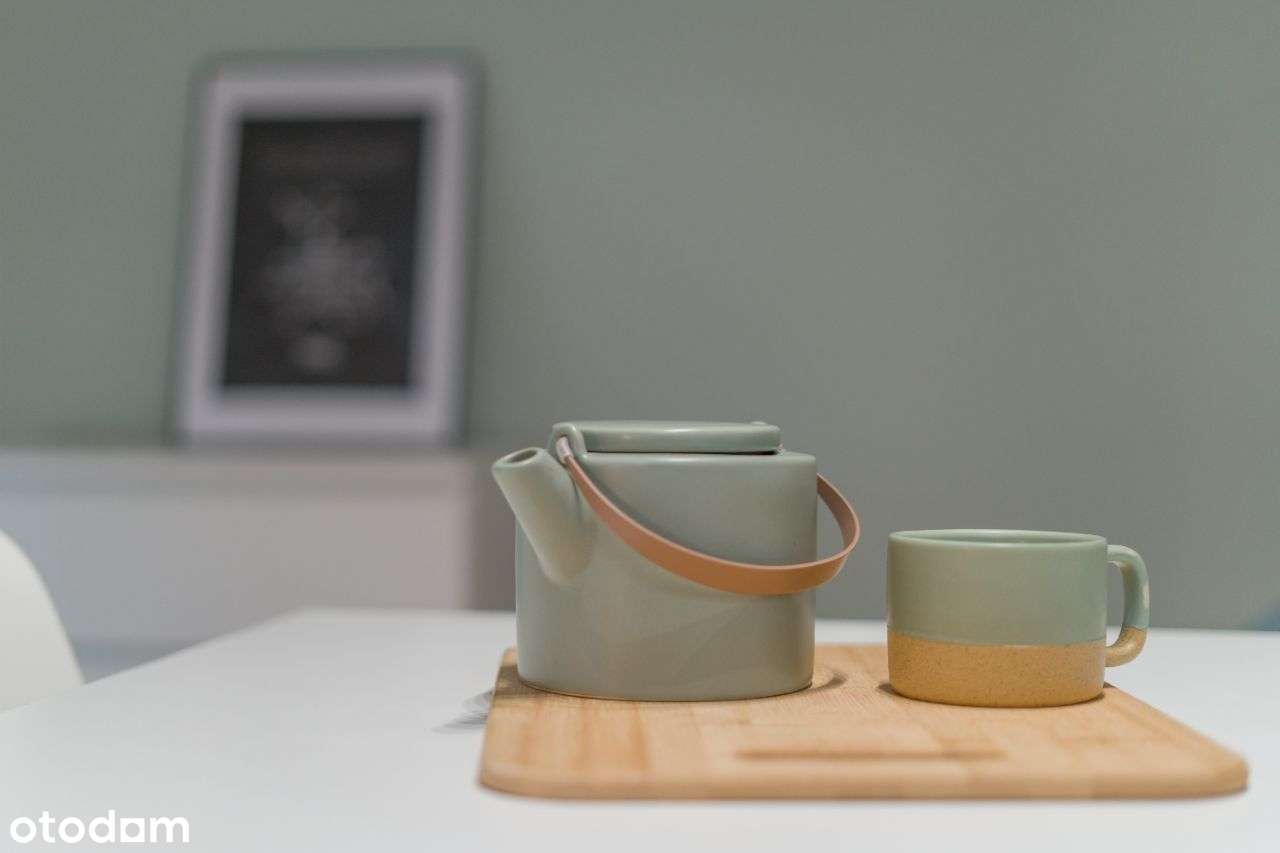 2 pokoje 43m2 z widokiem na park – gotowe do wynajmu! Wejście do parku-8