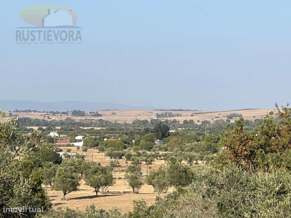 Quinta com 16 ha, com 4 Moradias Unifamiliares, piscina e várias ár...-40