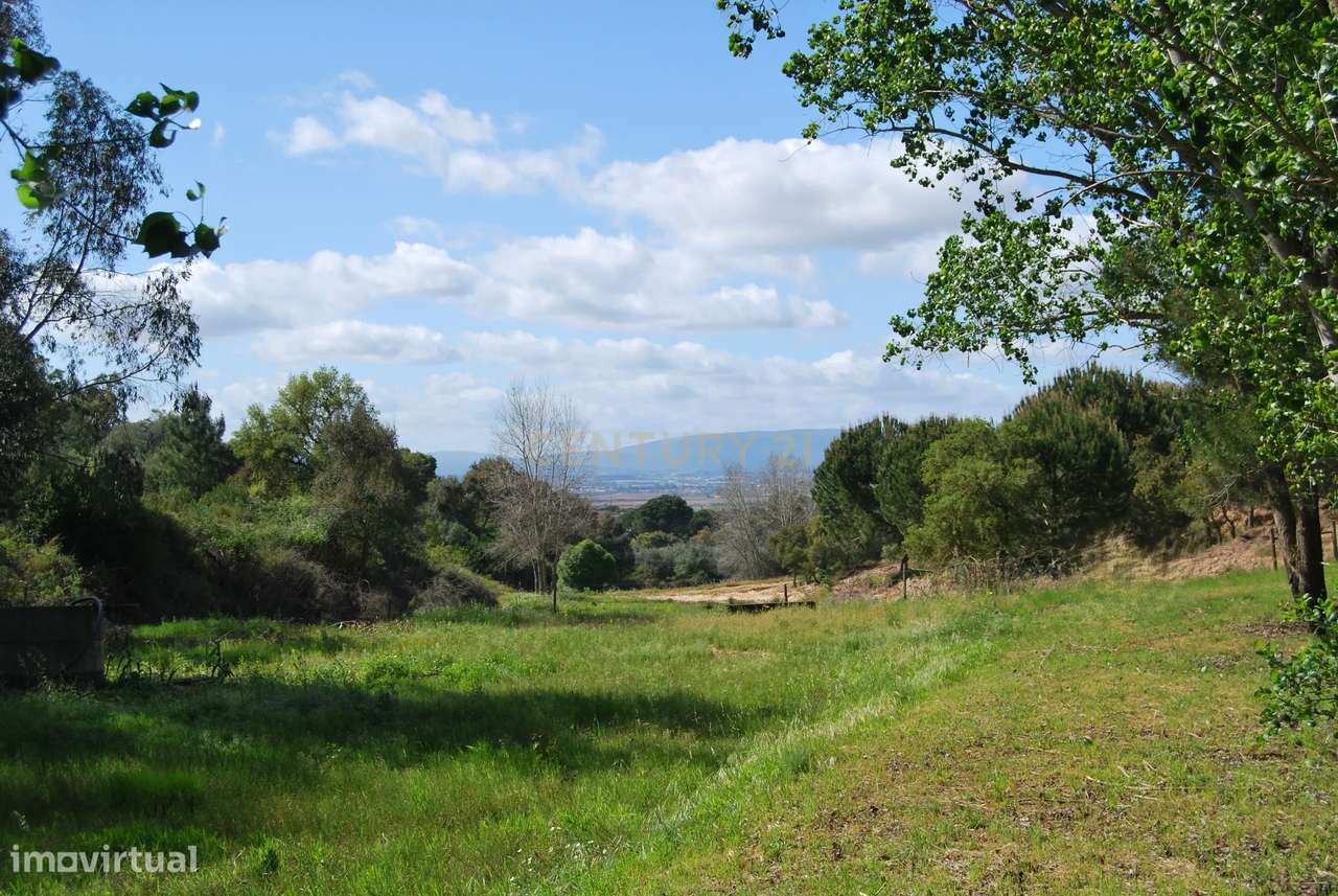 Terreno rústico 28200m2 em Vale do Junco, Chamusca, Golegã-37