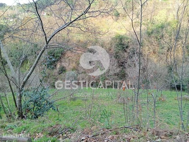Oportunidade Única: Quinta para Habitação, Turismo ou Agricultura em M-36