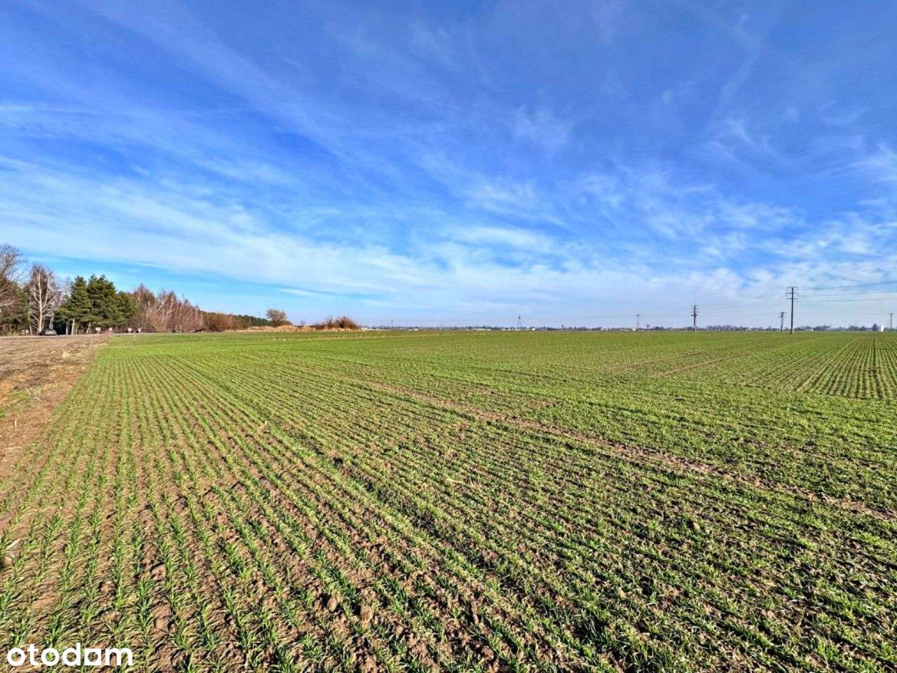 Duża Działka Bud. Wśród Zielonych Pól Bud. Gospod - Pełny obrazek: 5/10