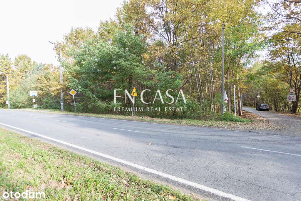 Działka pod zabudowę jednorodzinną i usługową - Pełny obrazek: 2/6